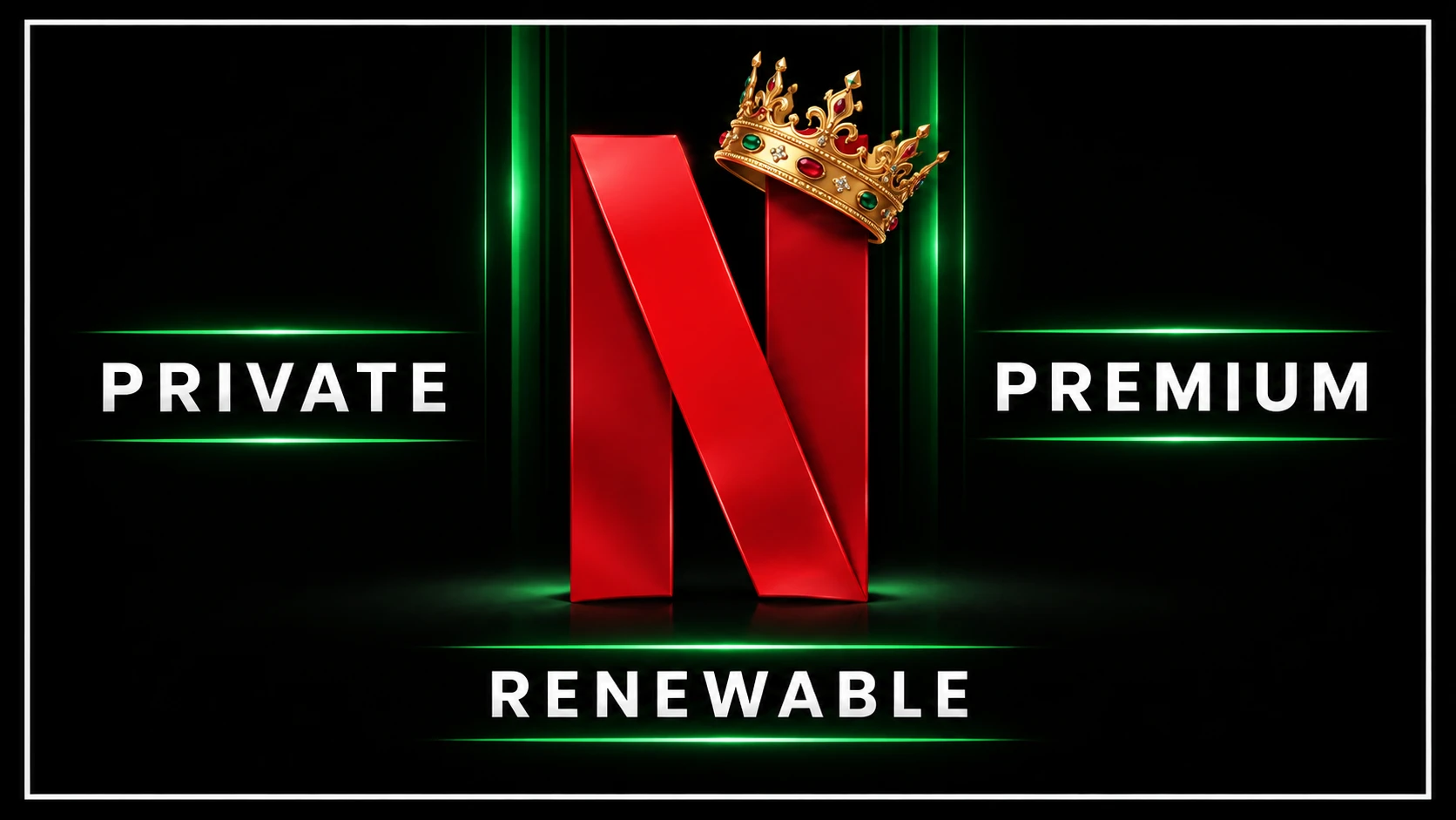 PRIVATE Netflix Premium 5 Profiles | 1 MONTH | Full Account Full Control