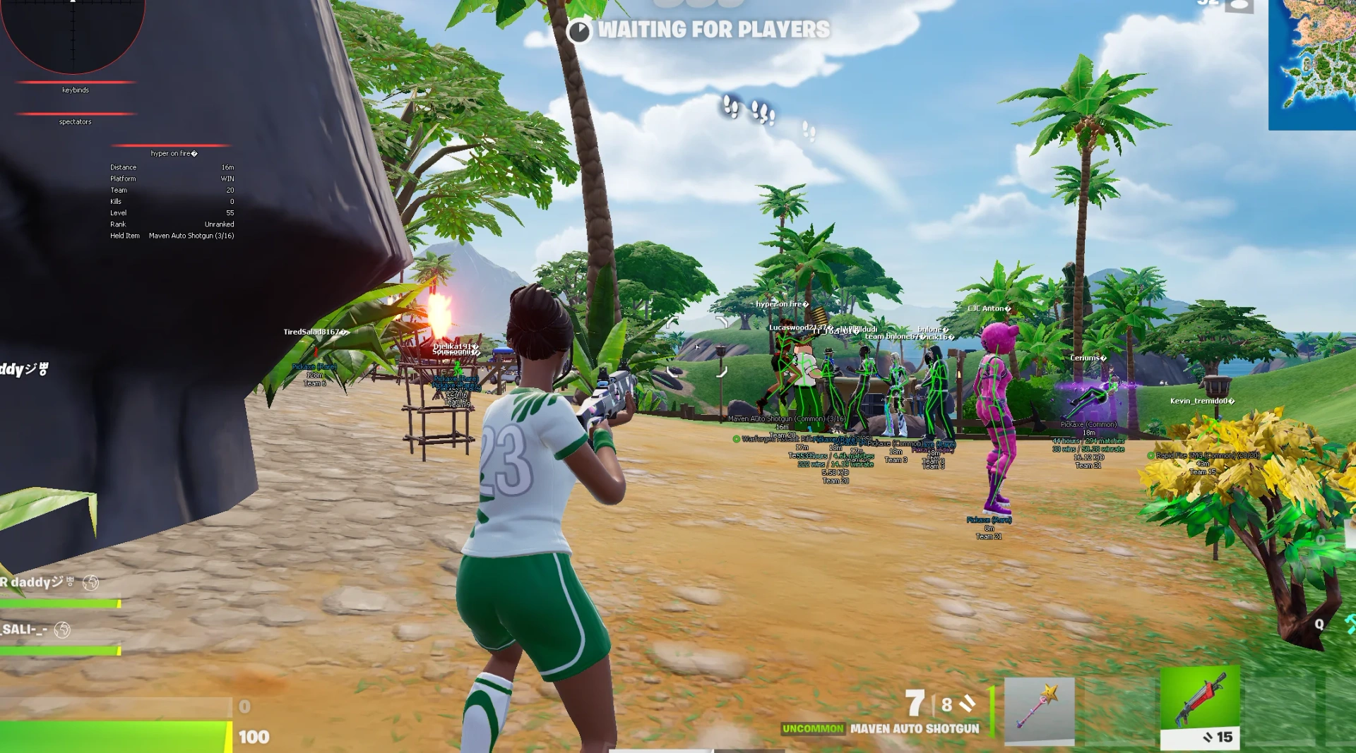 Pegasus Fortnite External