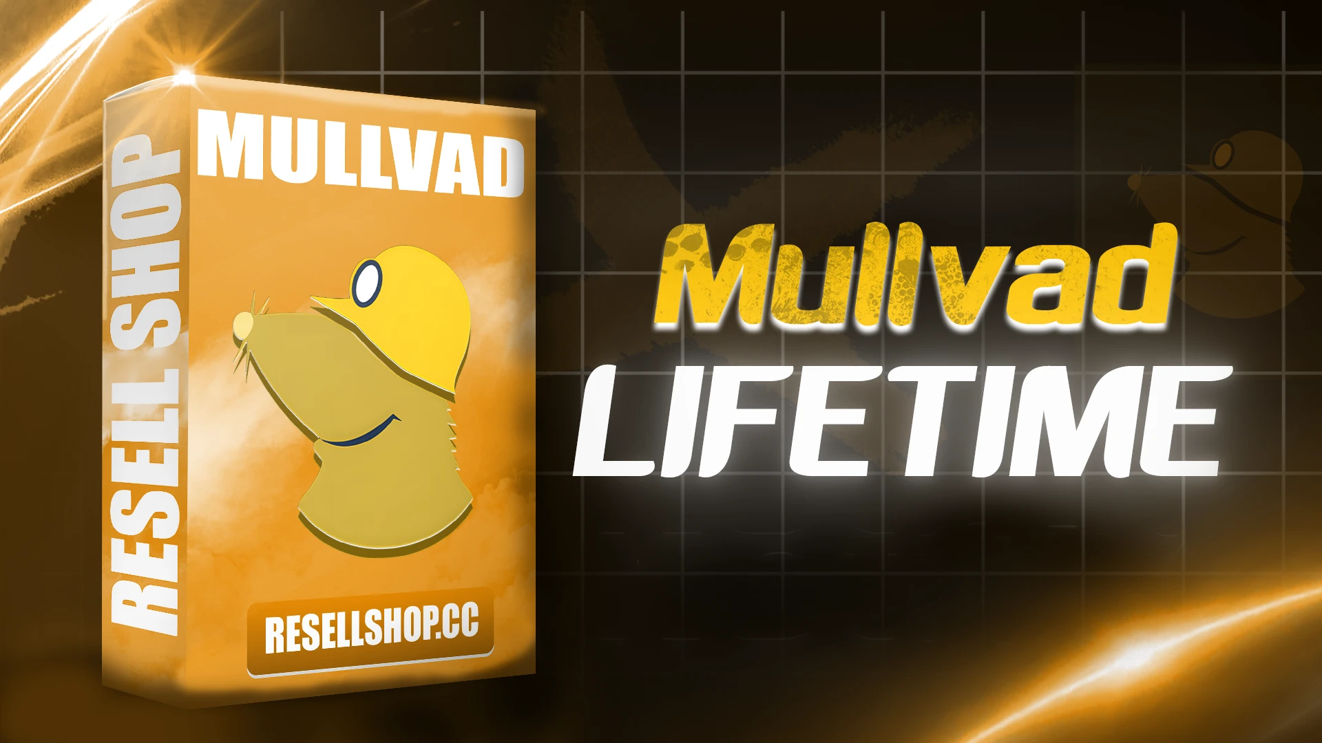 Mullvad VPN  [LIFETIME]