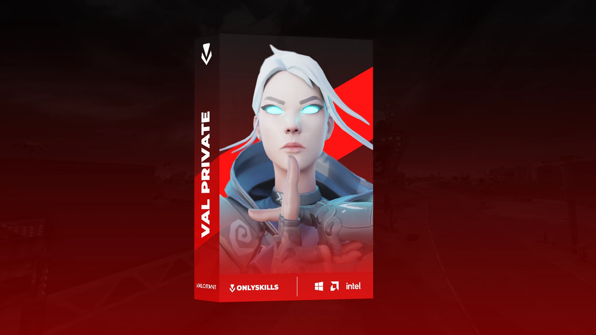 Valorant Private